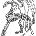 Coloriage squelette dragon