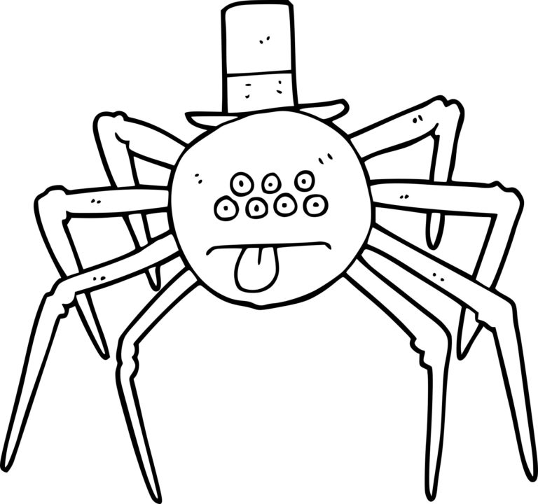 Coloriage araignée Halloween à imprimer